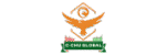 C-Chu Global